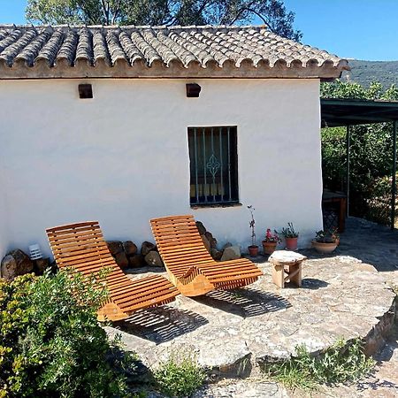 Complejo Rural Del Molino Dorado Villa Facinas Bagian luar foto