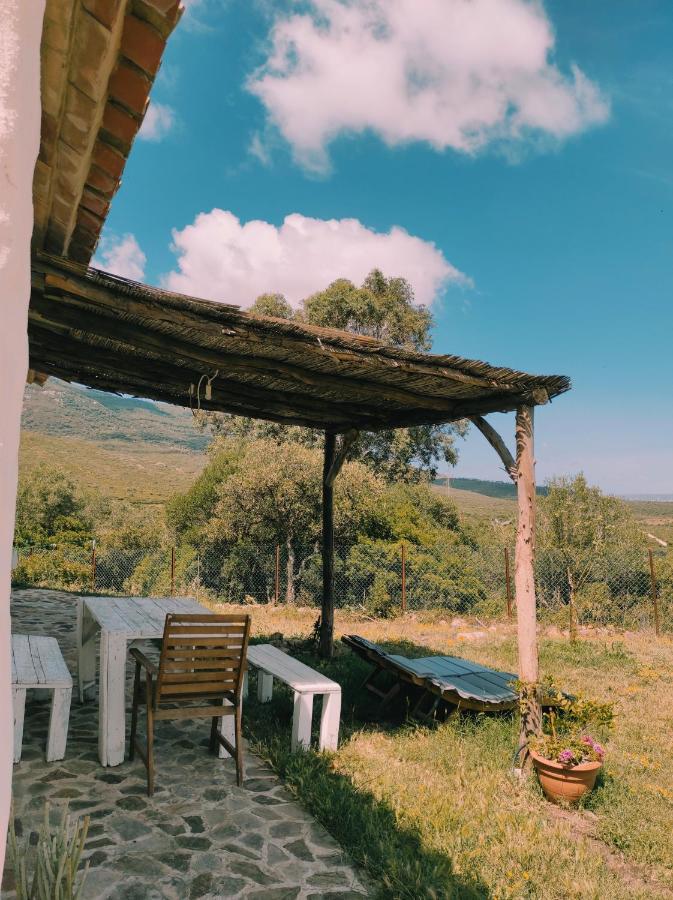 Complejo Rural Del Molino Dorado Villa Facinas Bagian luar foto