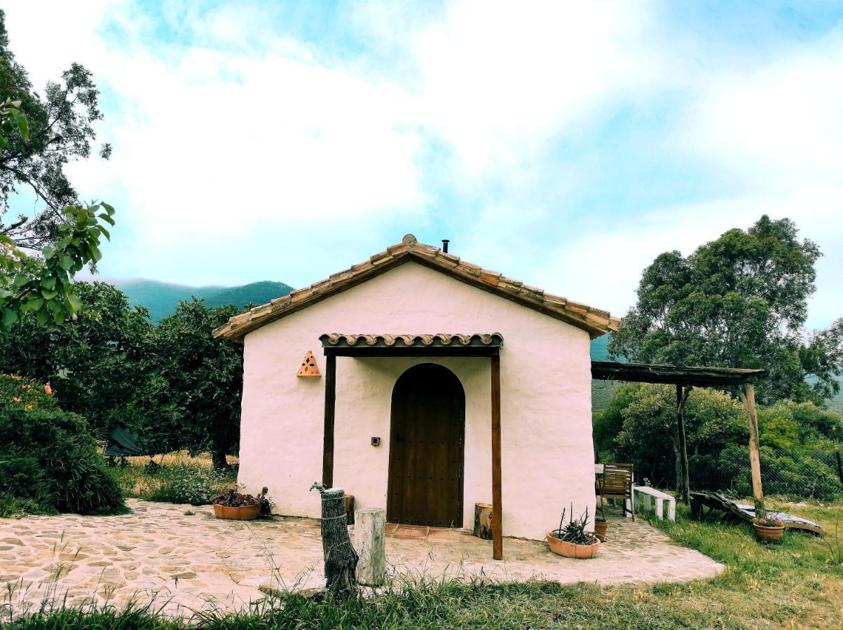 Complejo Rural Del Molino Dorado Villa Facinas Bagian luar foto